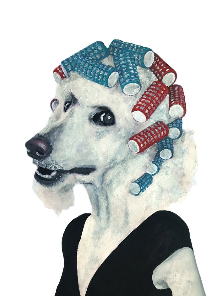 Poodle With Haircurles