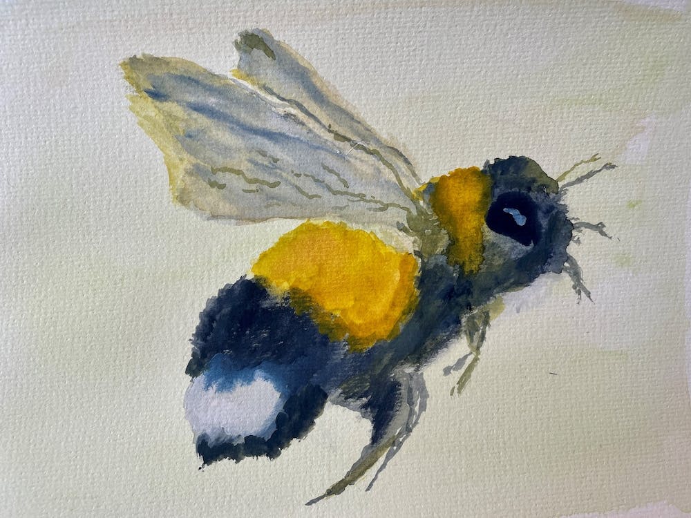 Bumble Bee