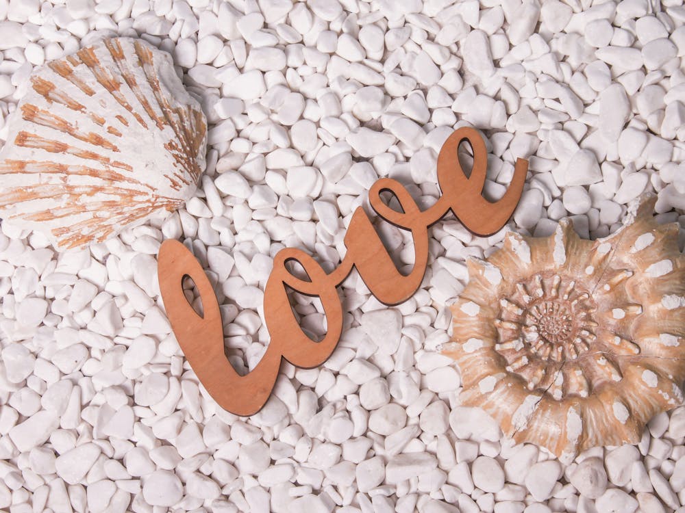 Love seashell art print