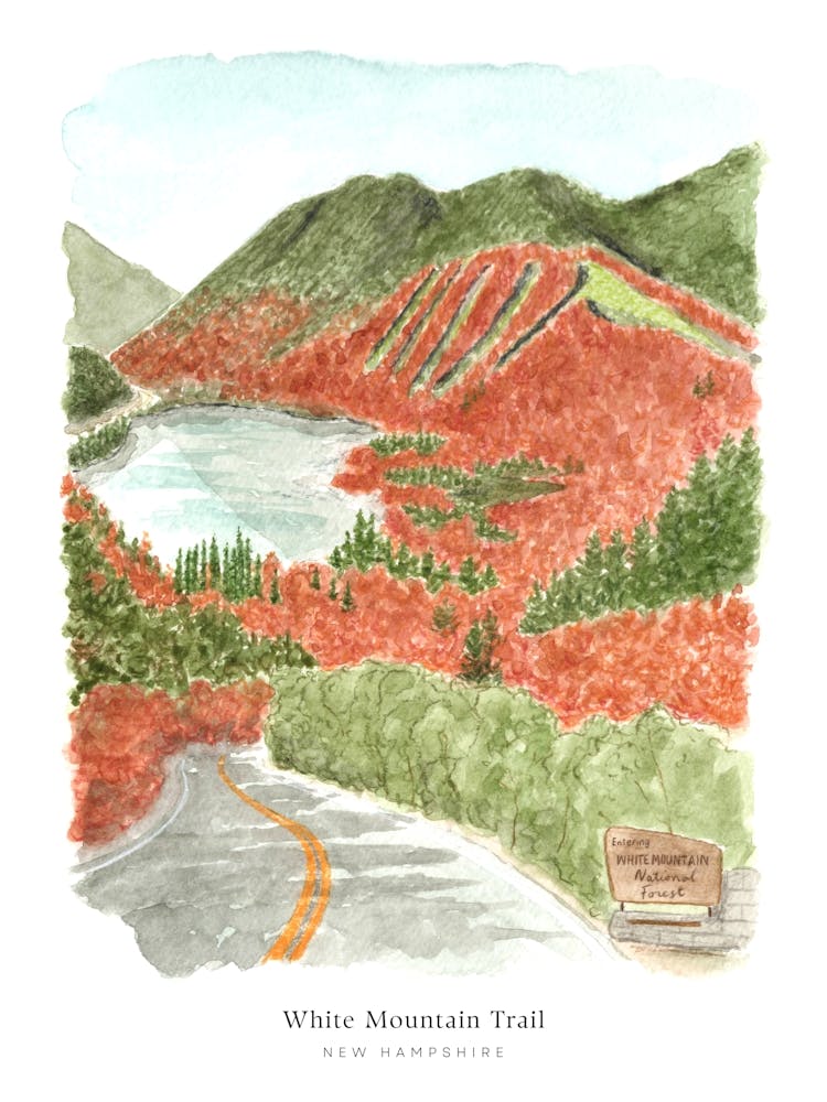 New Hampshire White Mountain