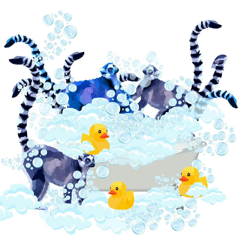 Lemurs in the tub