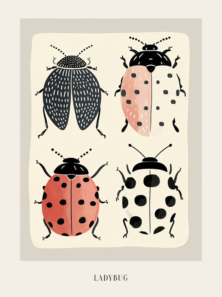 Colourful Insect Illustration Ladybug 5 Poster