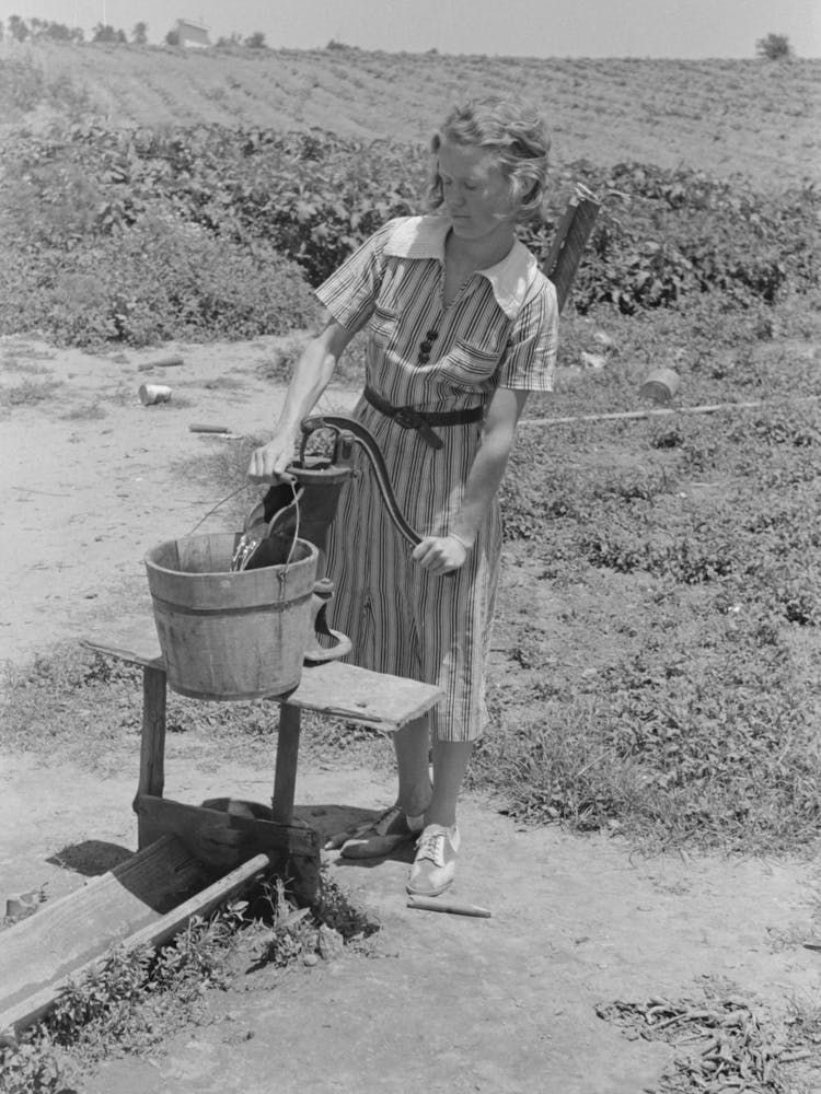 Daughter Of Sharecropper Pumping Water, New Madrid County, Missouri By Russell Lee