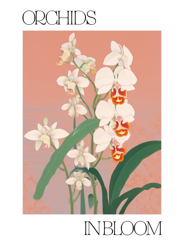 Orchids In Bloom Flowers Bold Illustration 1