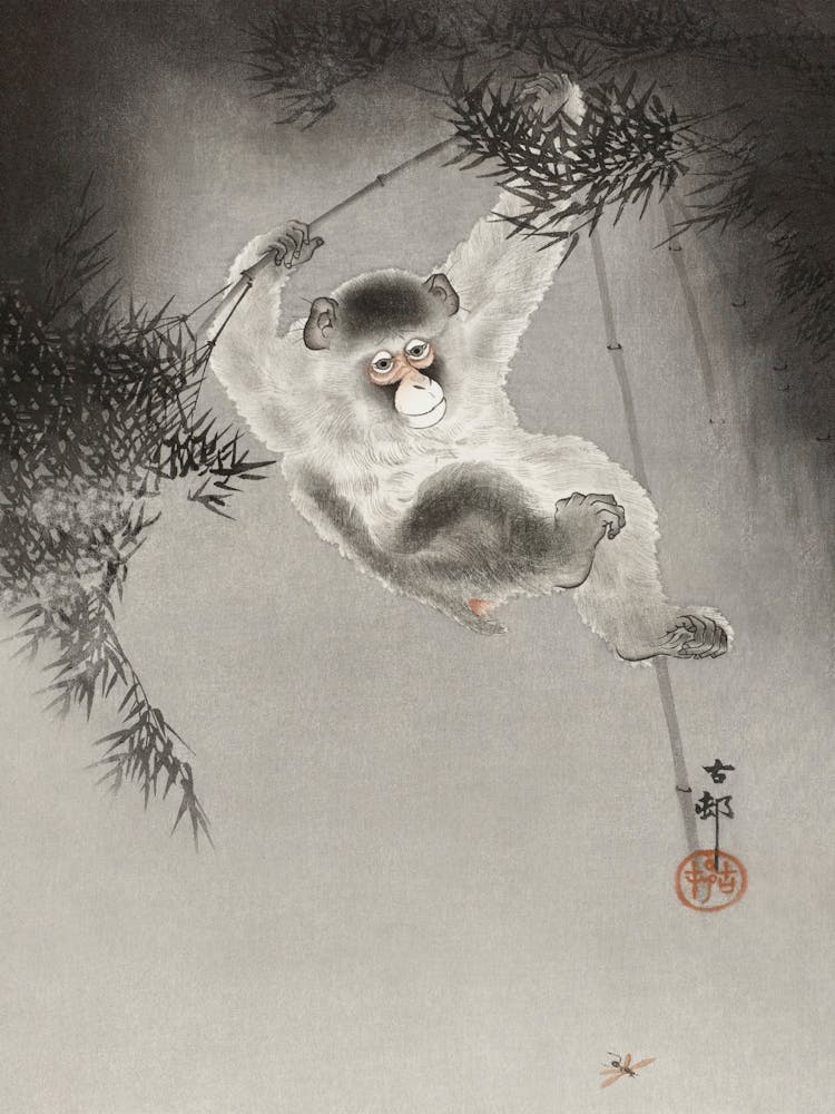 Monkey Hanging From Bamboo Branch, Ohara Kosan