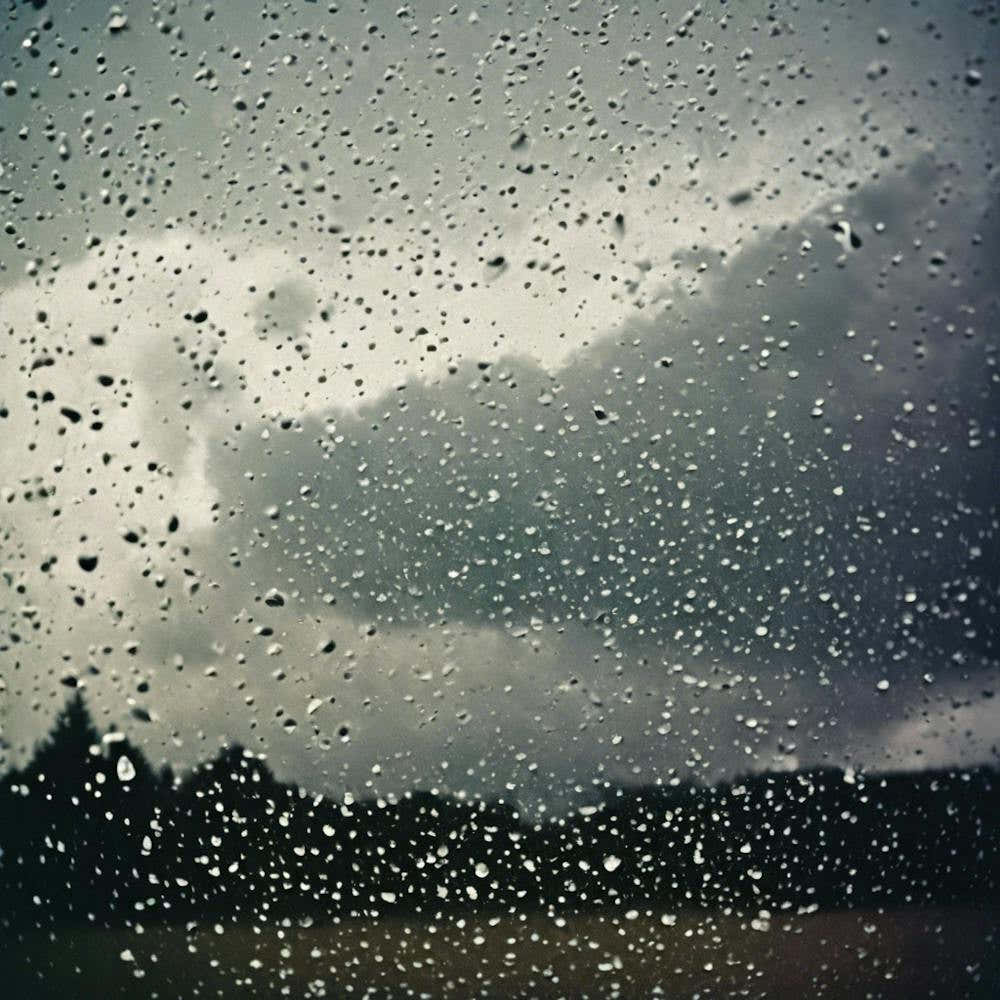 Raindrops On A Window