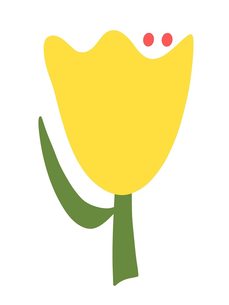 Yellow Tulip