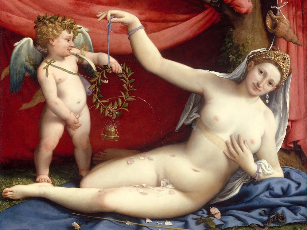 Venus And Cupid, Lorenzo Lotto