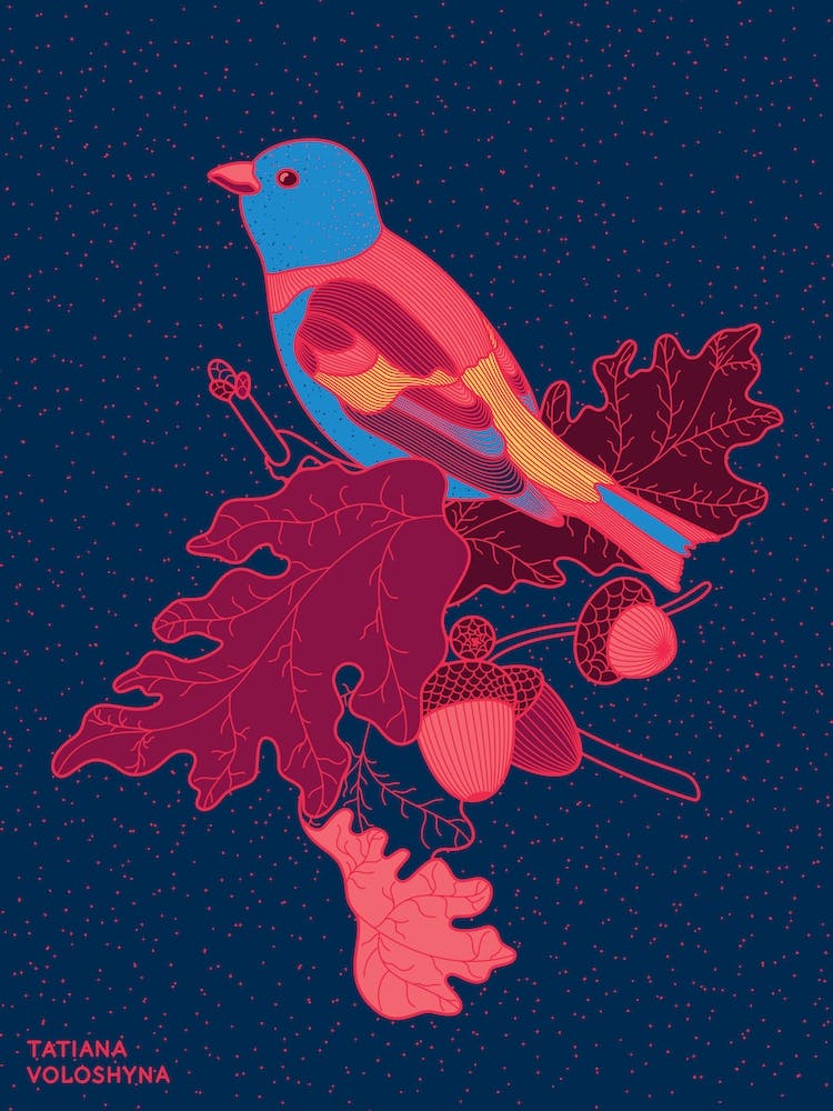 Acorn Branch And Bird