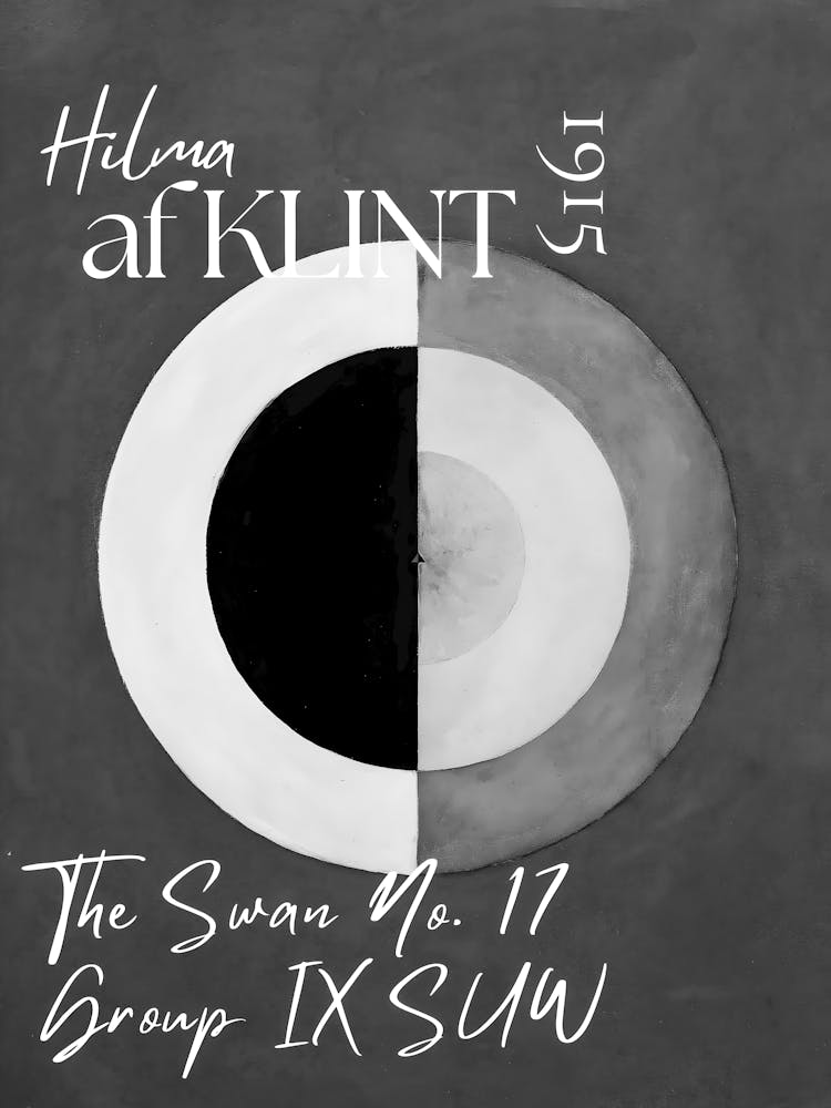 Swan No 17