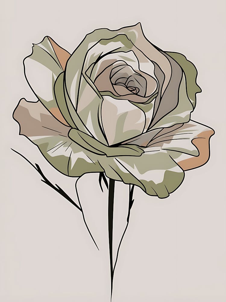 Rose 1