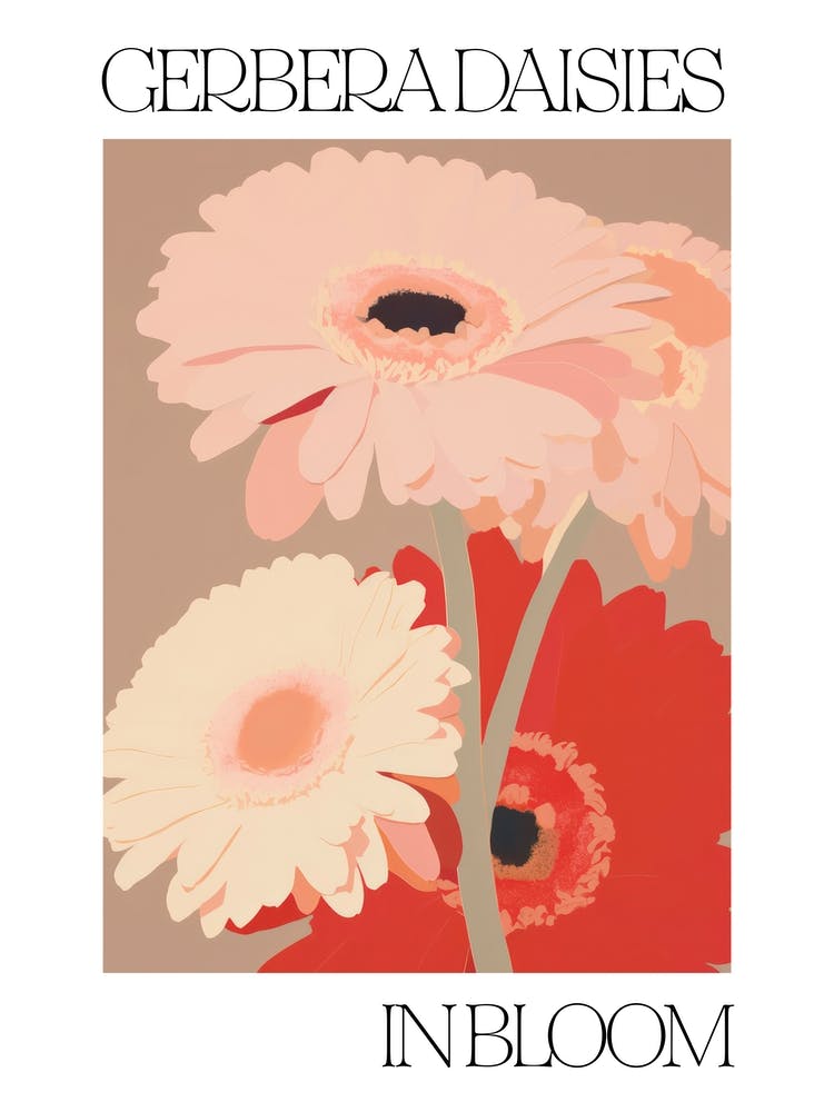 Gerbera Daisies In Bloom Flowers Bold Illustration 2
