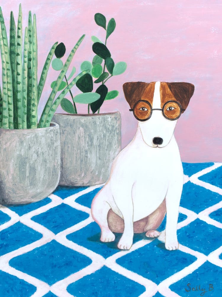 Jack Russell Terrier