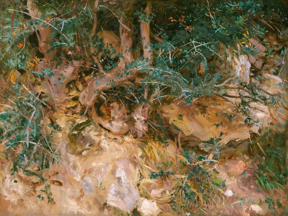 Valdemosa, Mallorca Disteln und Kraut auf einem Hügel (1908), John Singer Sargent