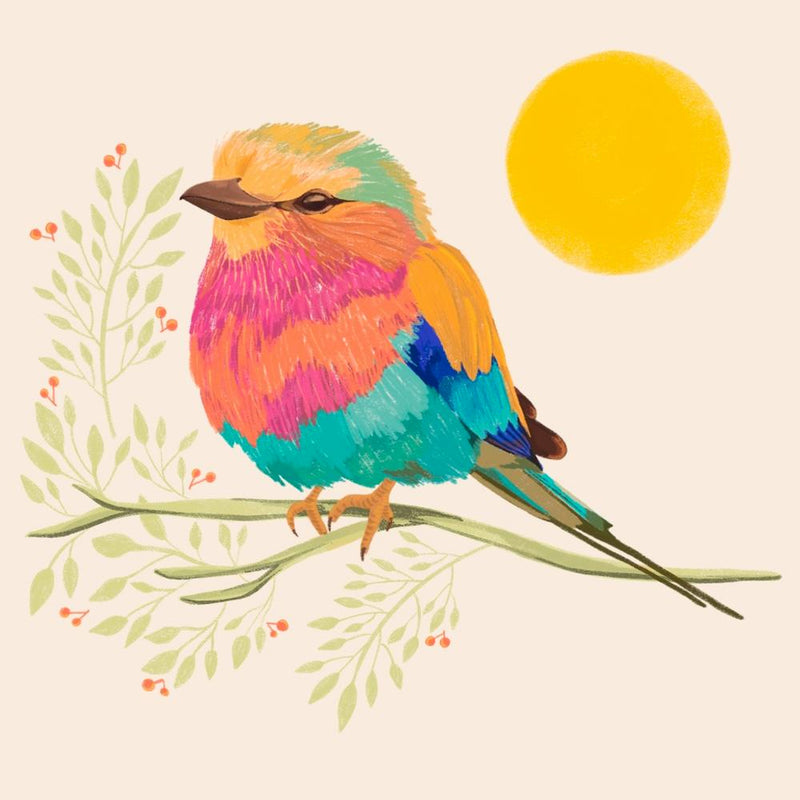 Rainbow Bird