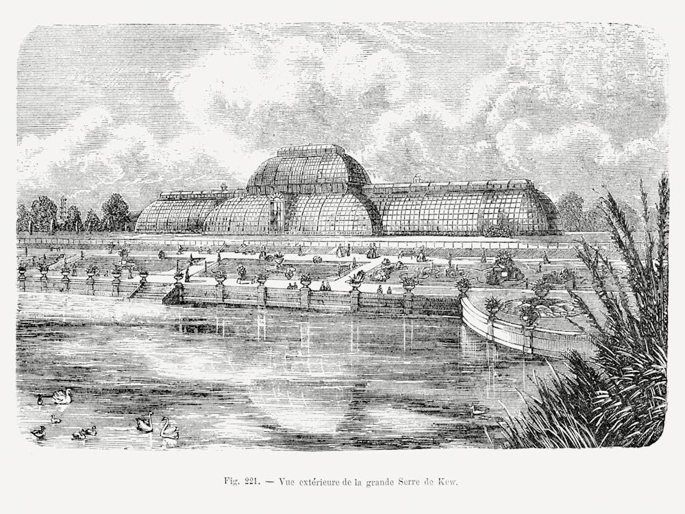 Vintage Illustration Of Kew Gardens Conservatory