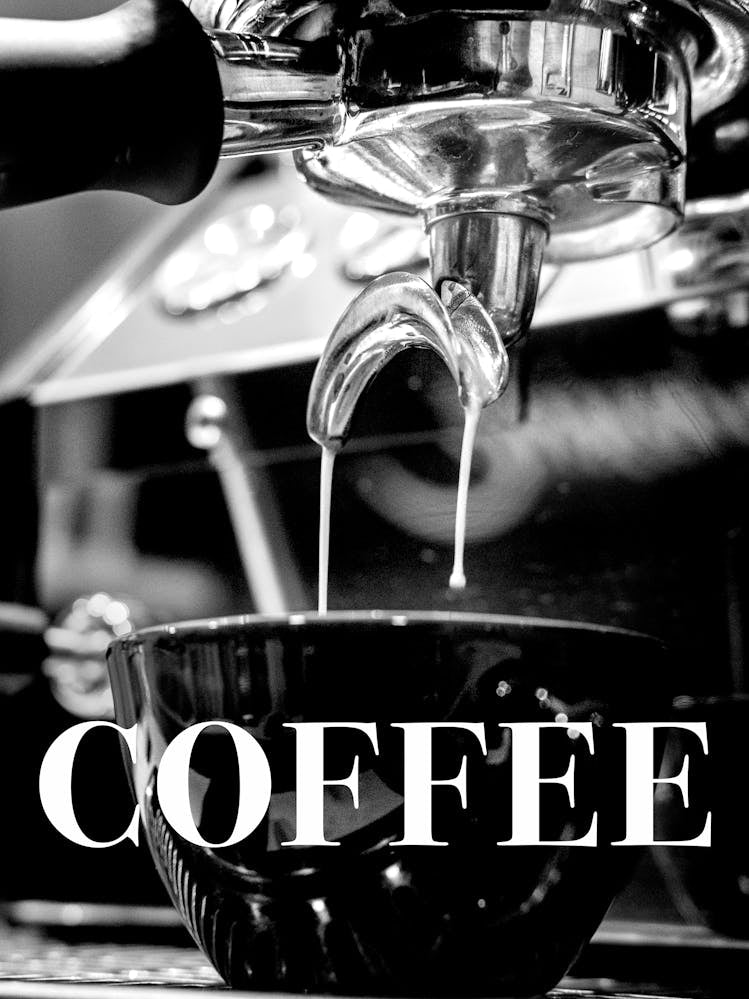 Coffee Barista Black and White_2365347