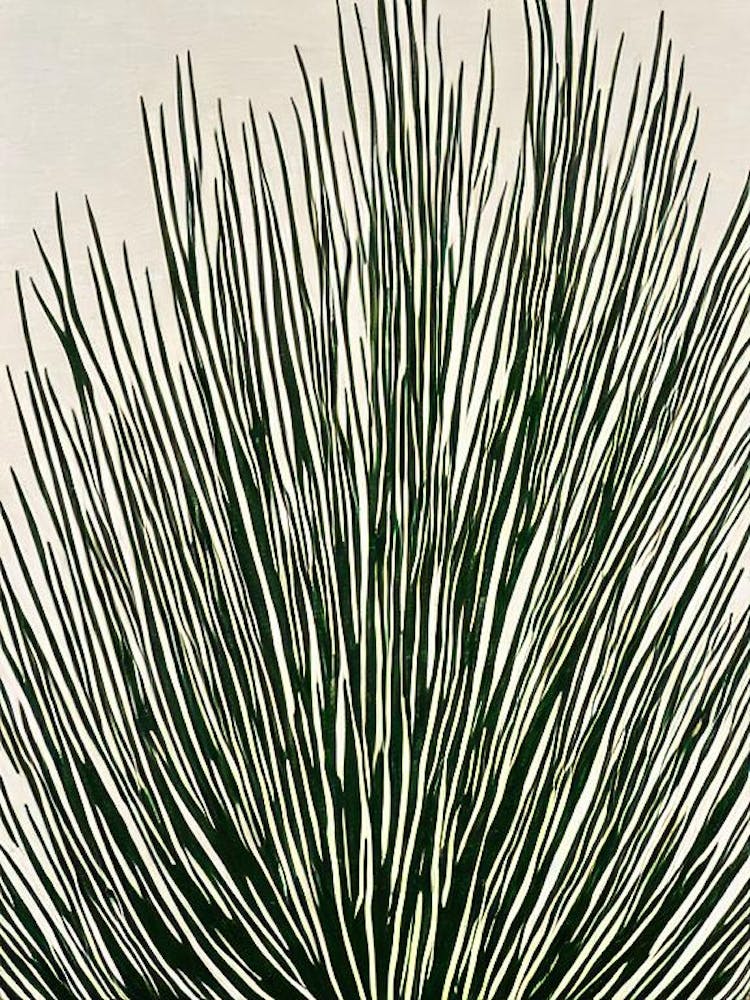 Sea Lettuce Linocut