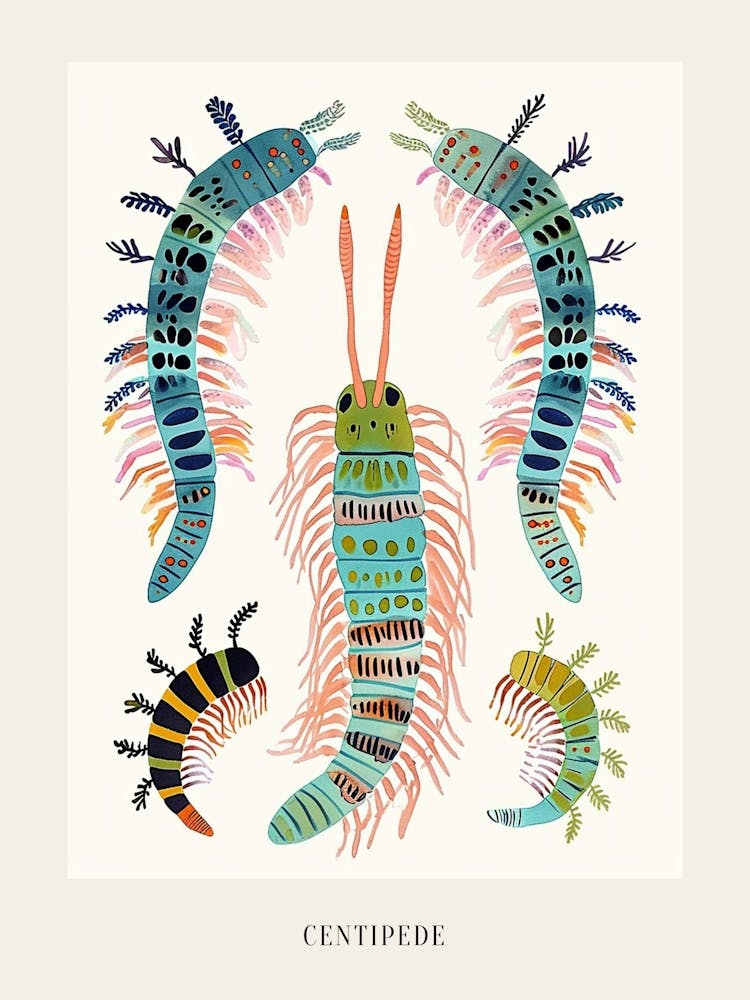 Colourful Insect Illustration Centipede 3 Poster
