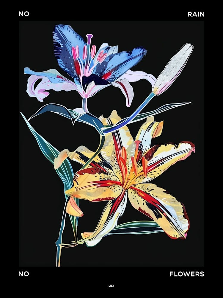 No Rain No Flowers Poster Lily 1