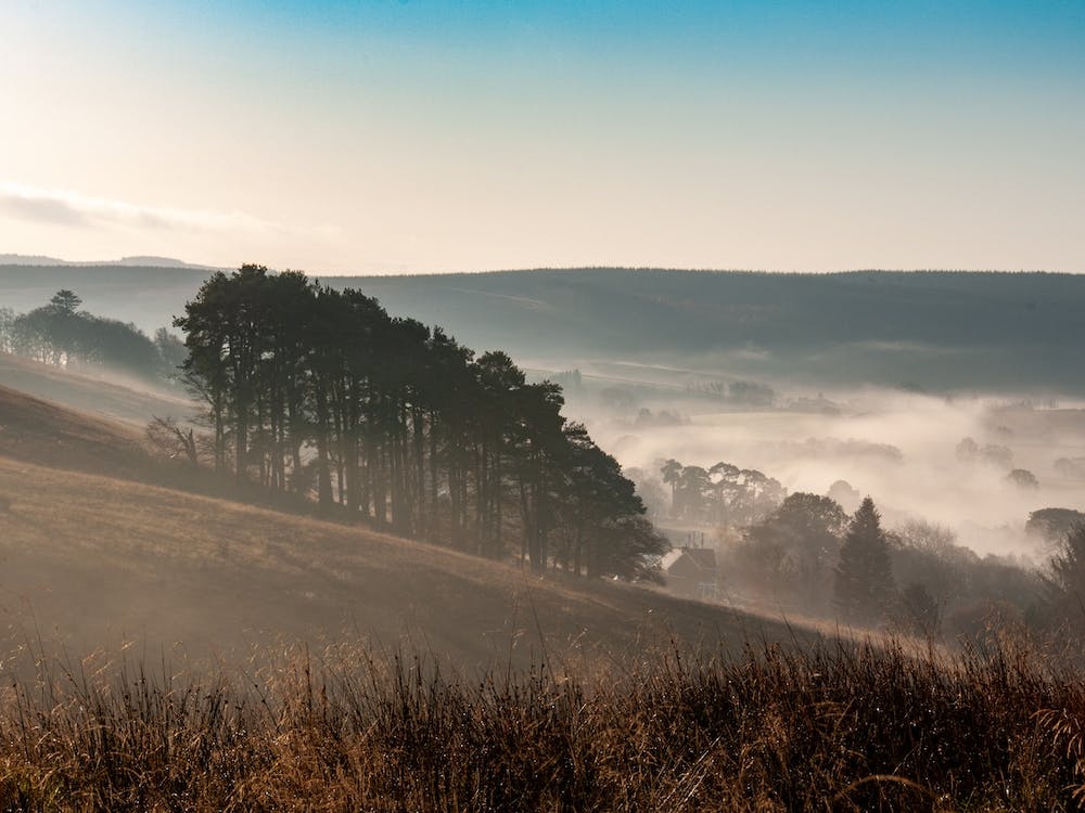 Above Falston