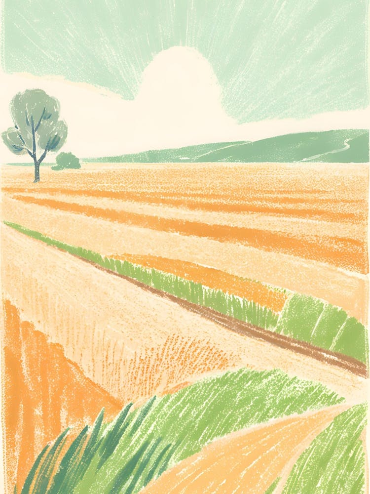 Field Of Wheat 1