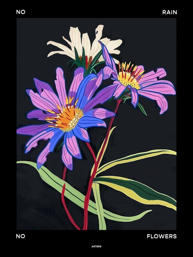 No Rain No Flowers Poster Asters 2