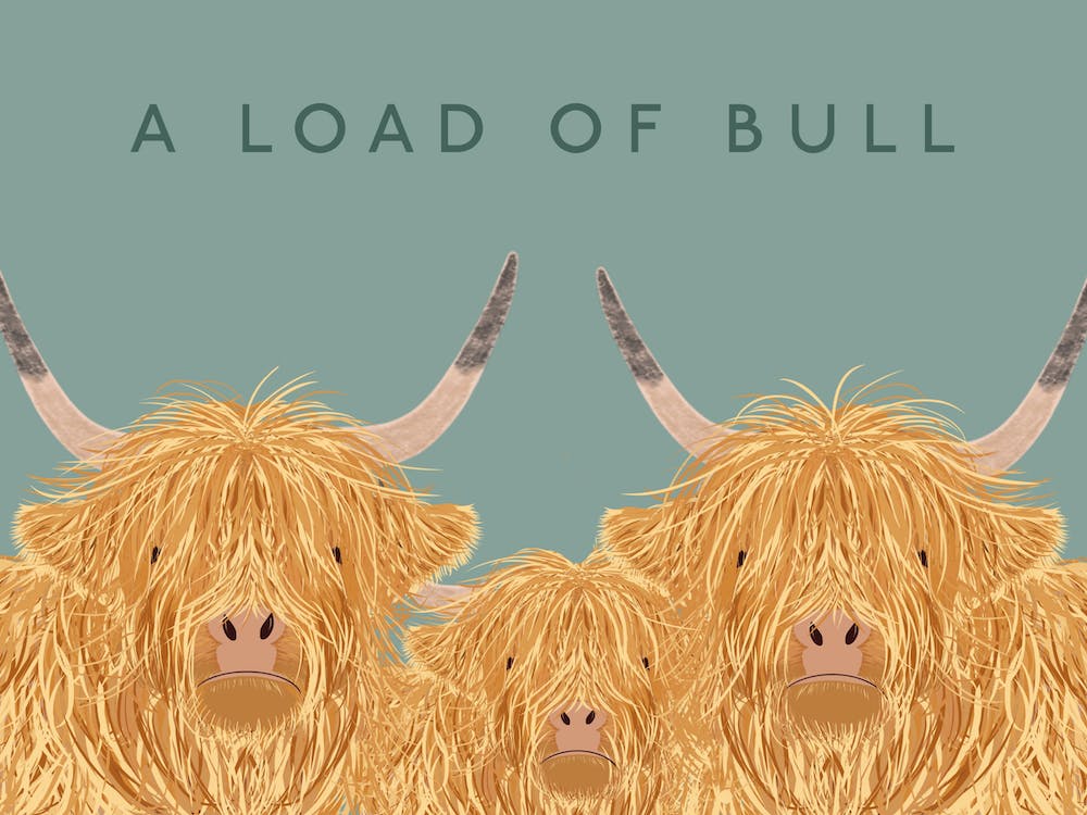 A Load Of Bull