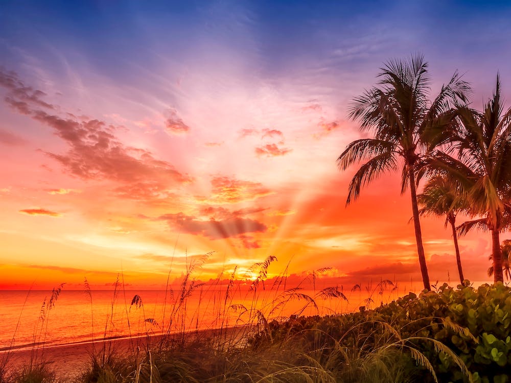Bonita Beach Idyllic Sunset