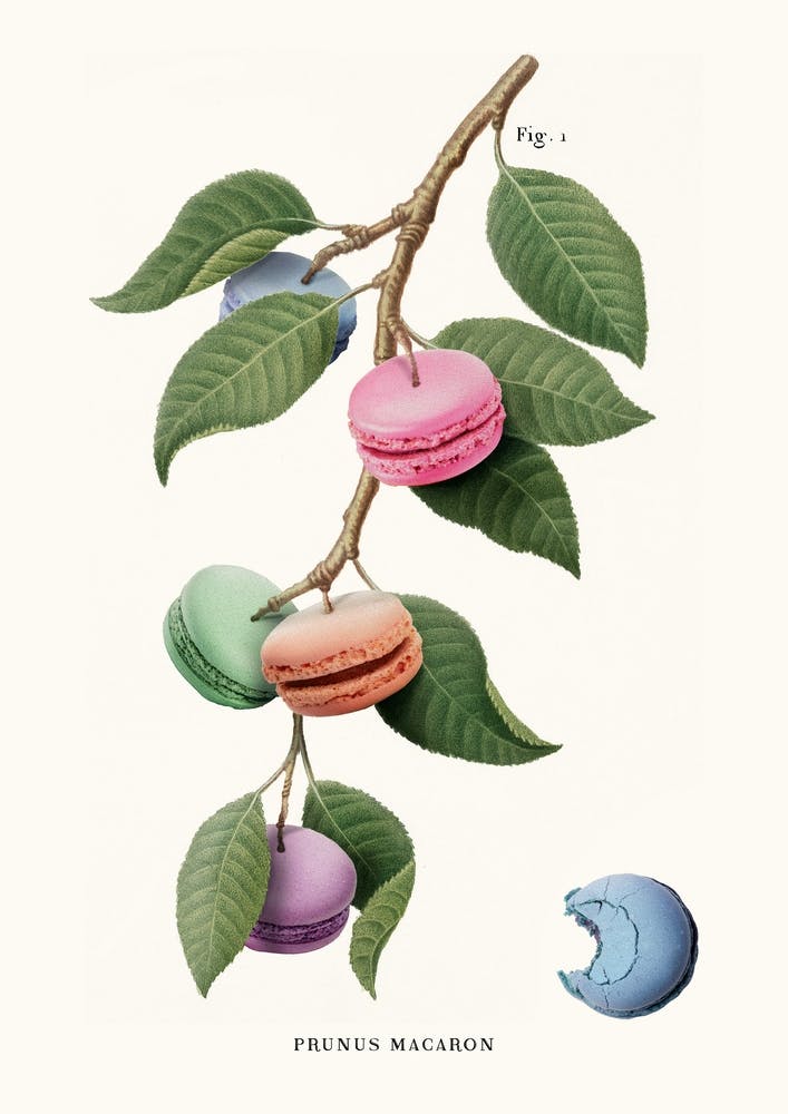 Macaron Plant Cream & Green