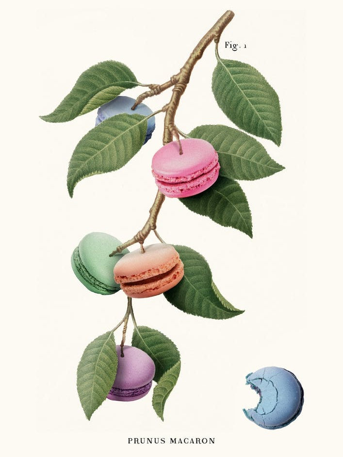 Macaron Plant Cream & Green