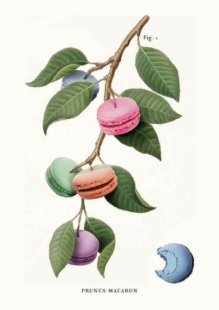 Macaron Plant Cream & Green