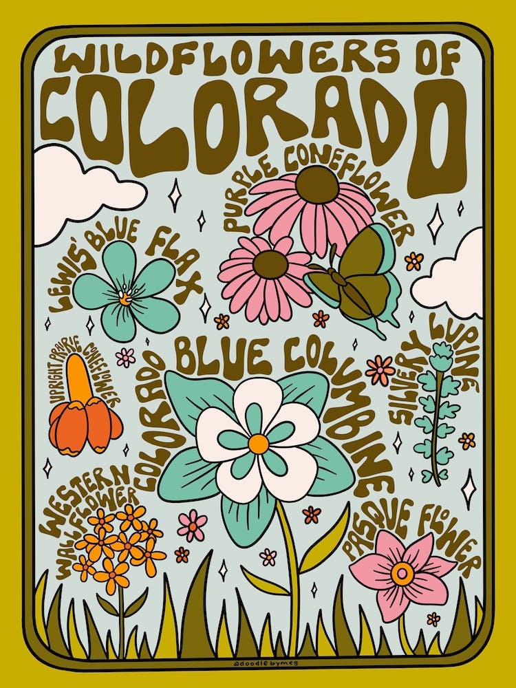 Colorado Wildflowers