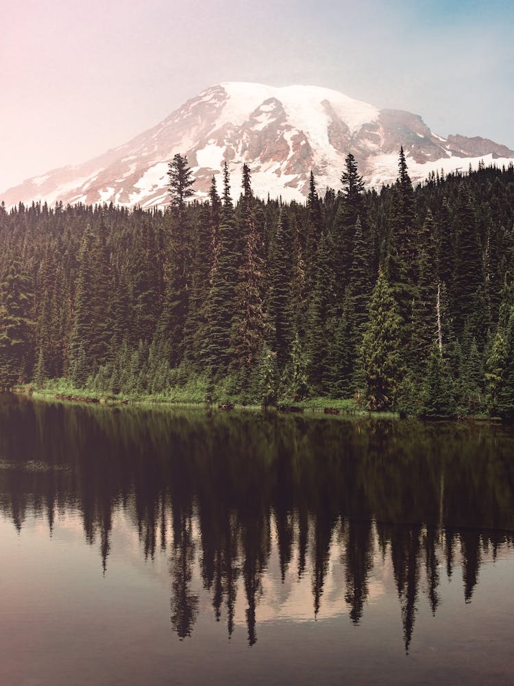 Mt Rainier Summer Morning Lake Reflection