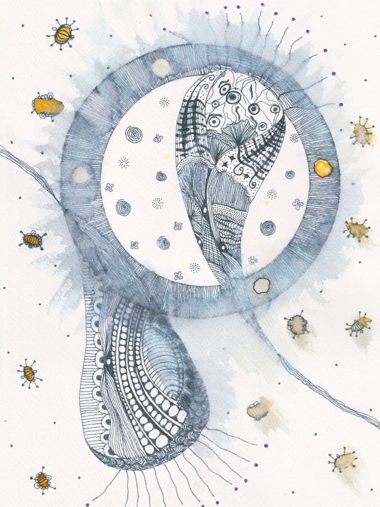 Abstract Line Drawing