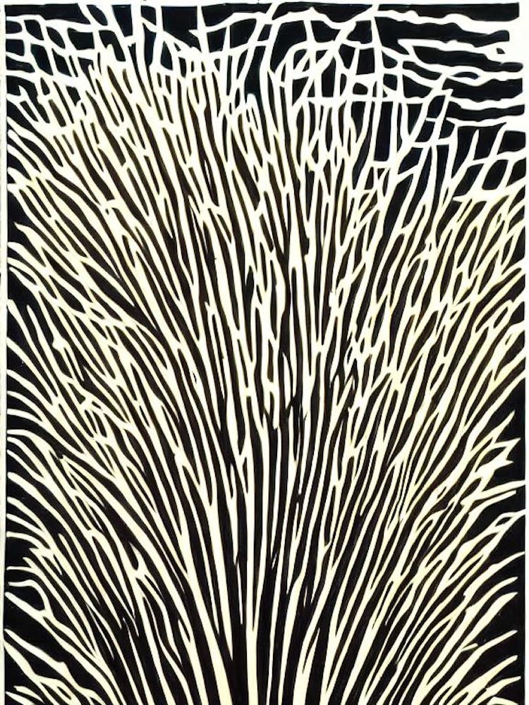 Acropora Digitifera Iiii Linocut