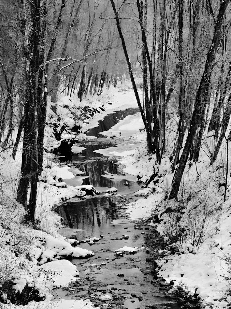 Bach im Schnee
