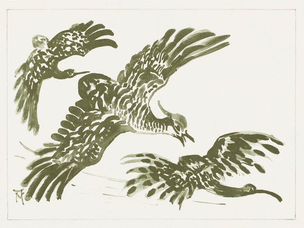 Three Flying Birds (1878–1917) By Theo Van Hoytema
