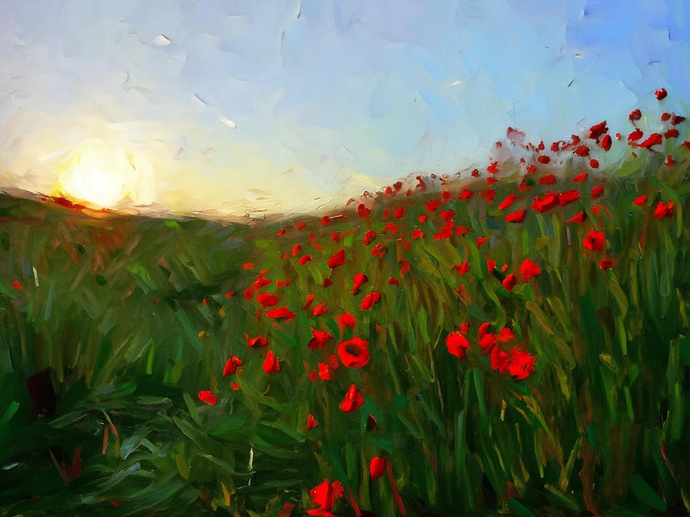 Poppies At Sunset