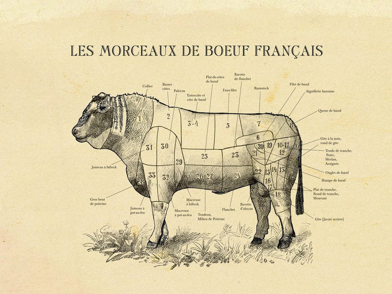 French Beef Butcher Cuts Chart