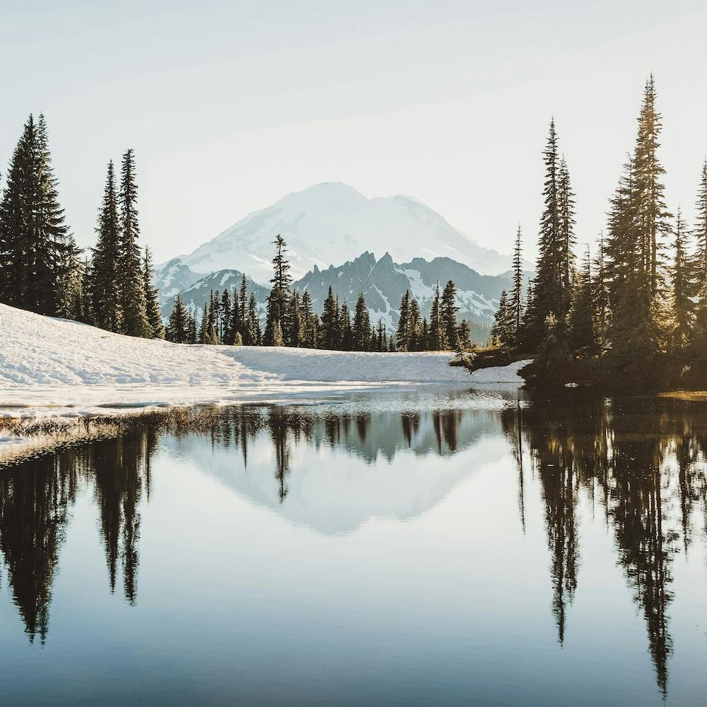 Mountain Forest Reflection Square