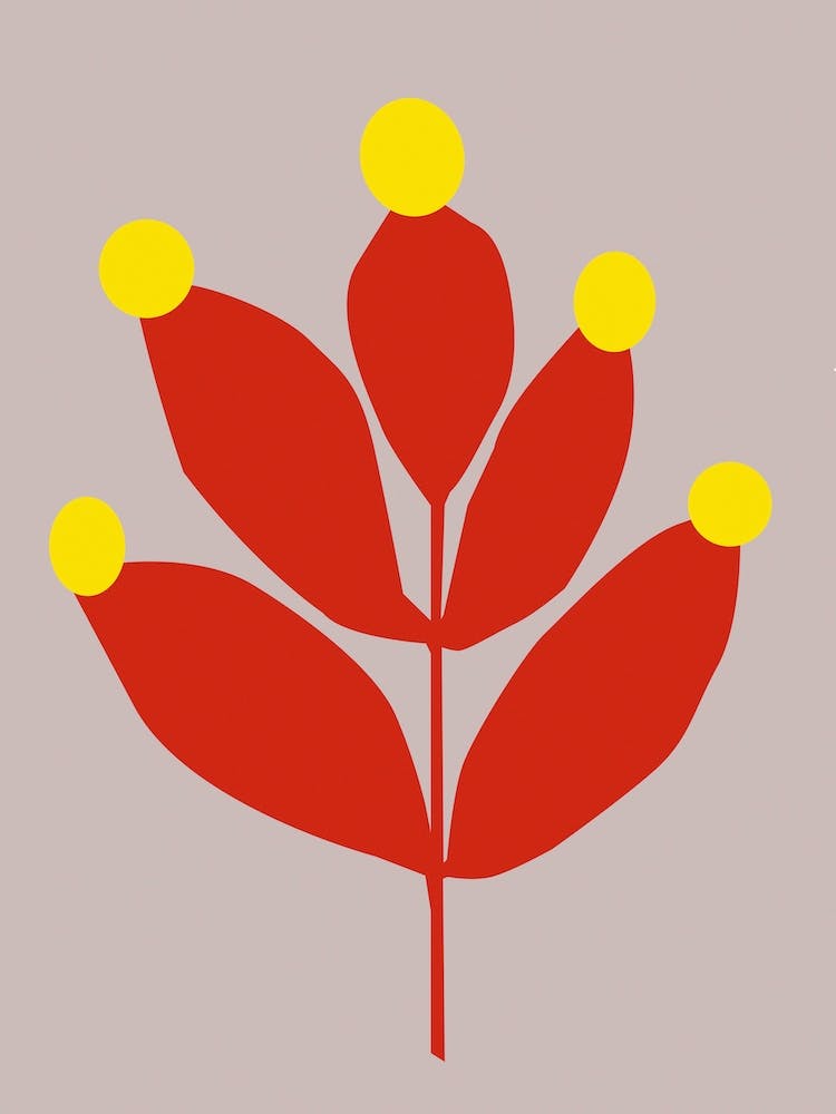 Red Yellow Plant