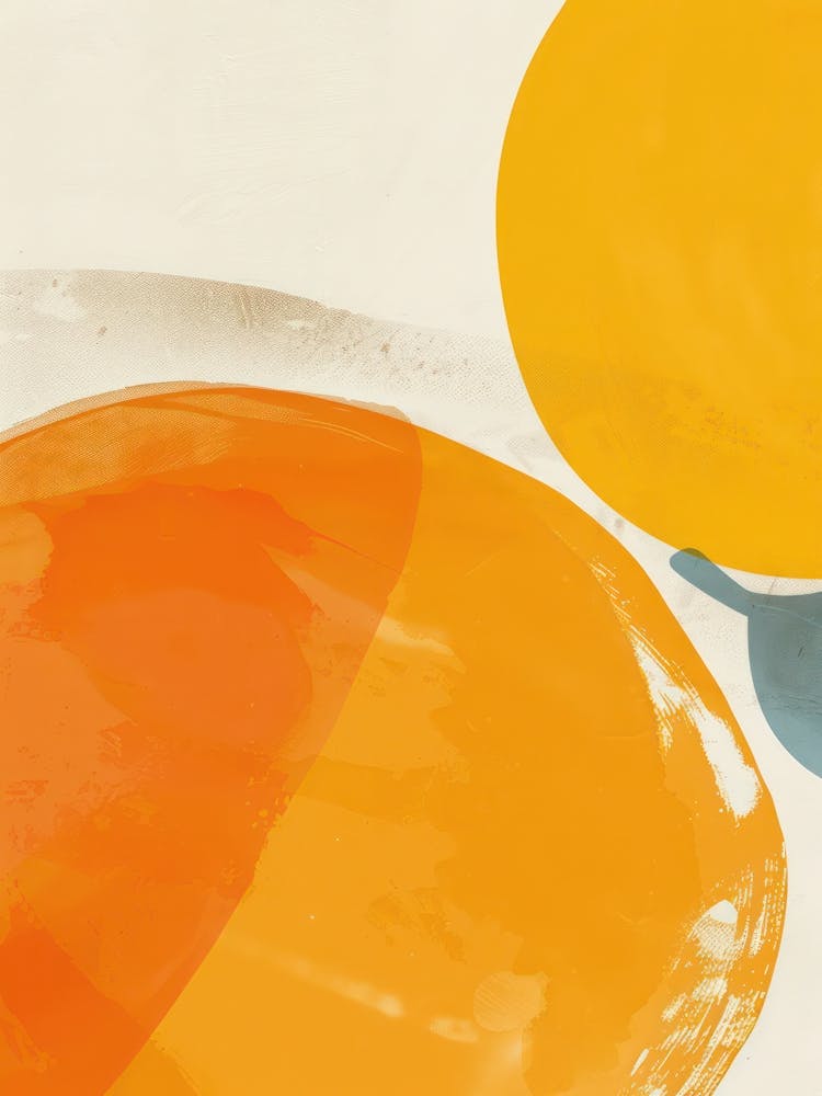 Oranges Illustration Gros Plan 1