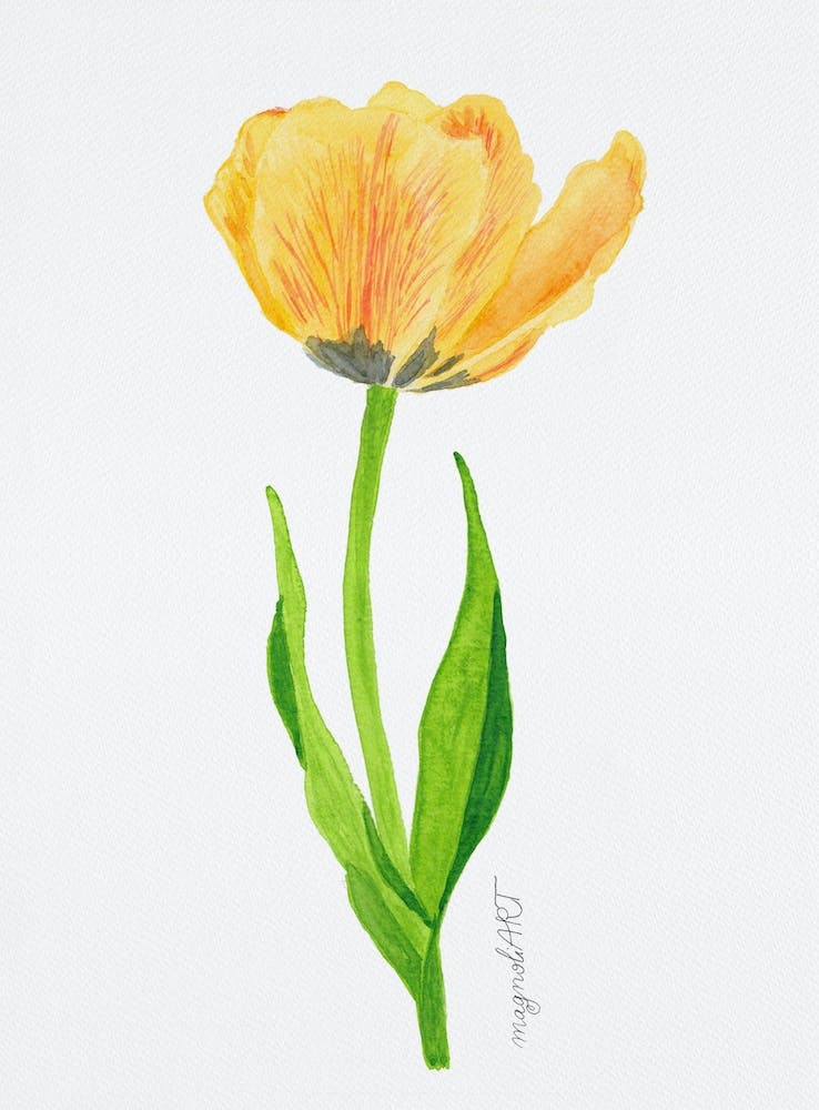 Tulip9