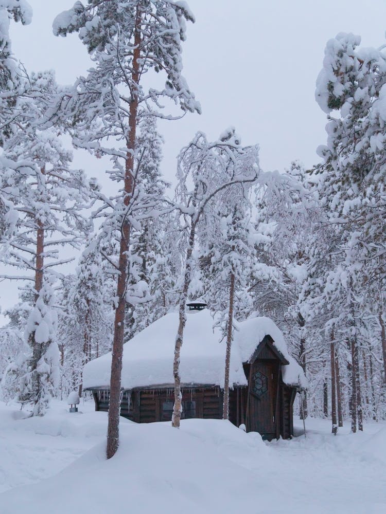 Snowy Cabin