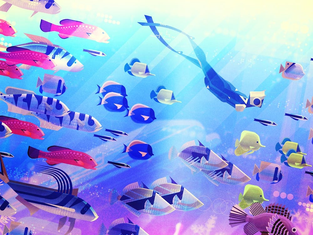 WEIRD FISHES