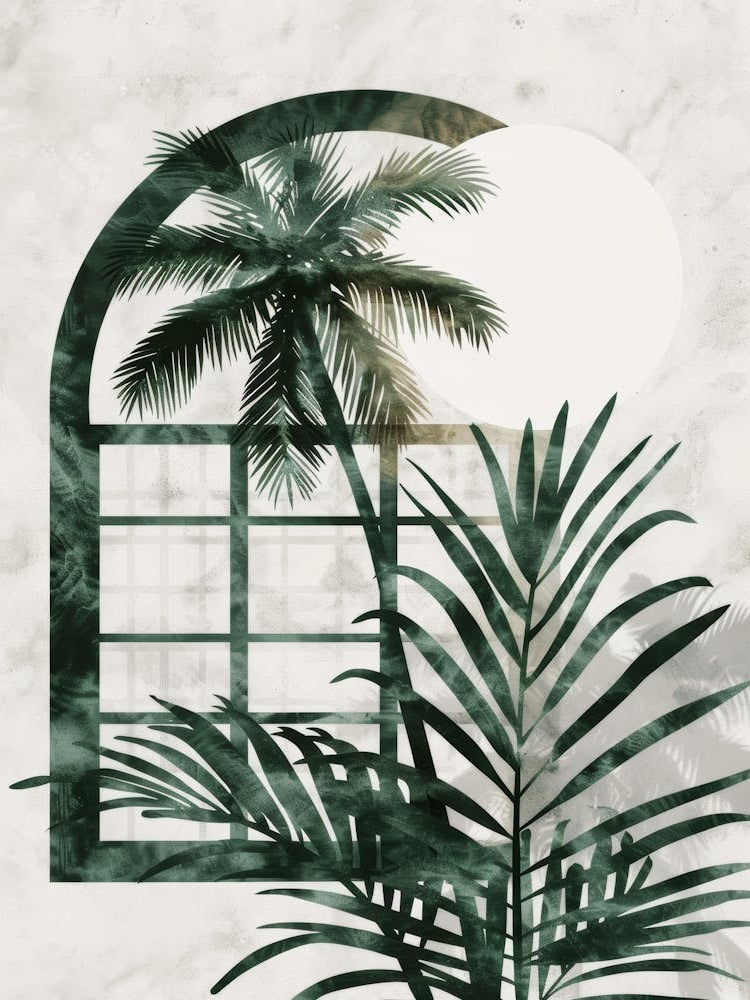 Palm Tree In The Window