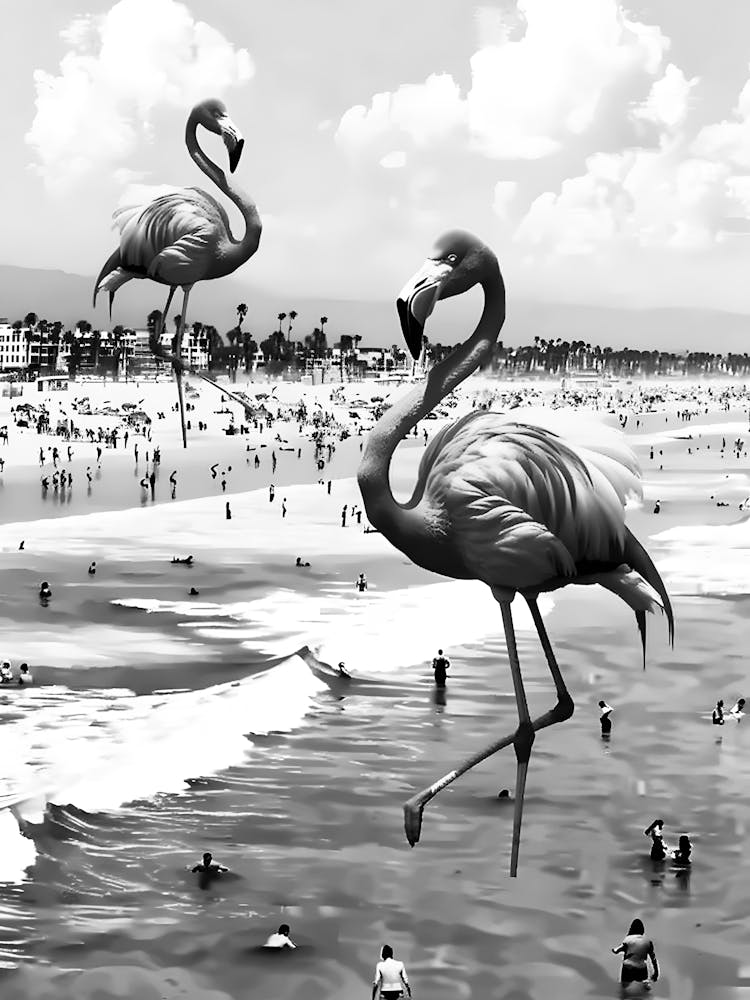 Flamingos At The Beach