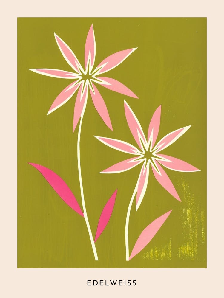 Pink & Green Edelweiss 2 Flower Poster