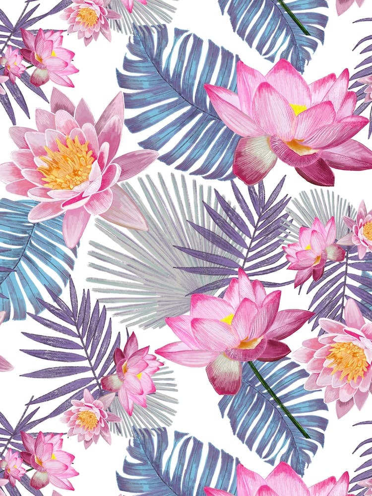 Pink Lotus Flowers
